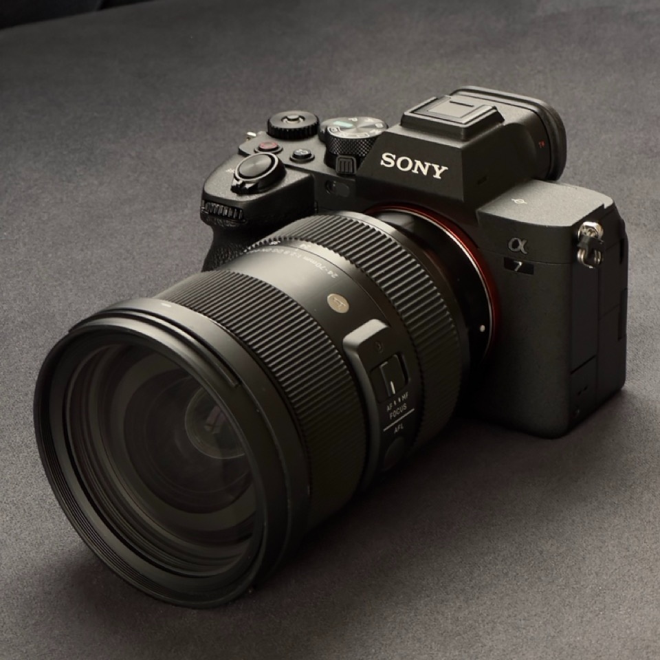 Sony A7 IV + Sigma 24-70mm F2.8 DG DN ART - تصویر کوچک 2 از 5 از سیلور کم