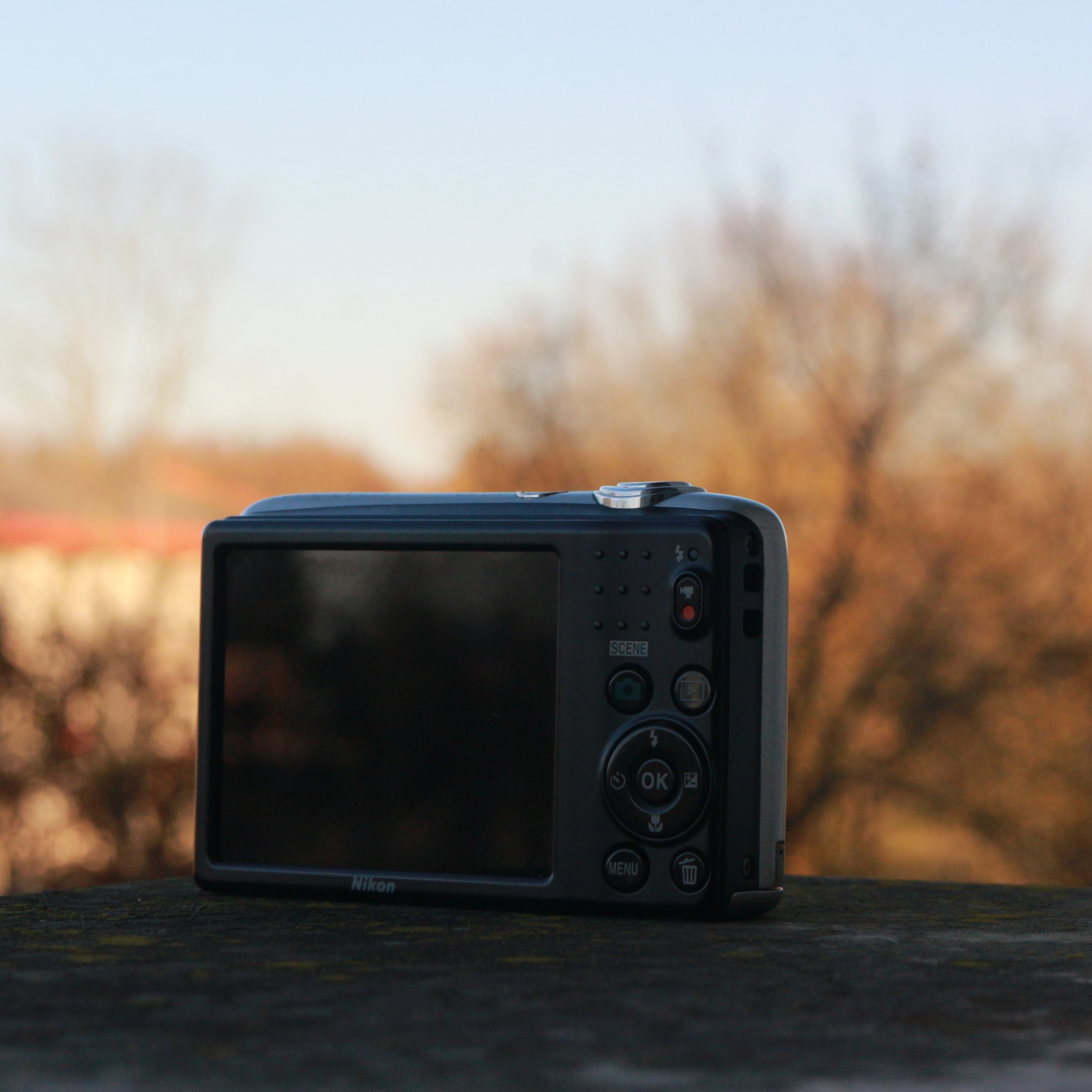 نیکون کولپیکس L25 - تصویر کوچک 3 از 3 از سیلور کم