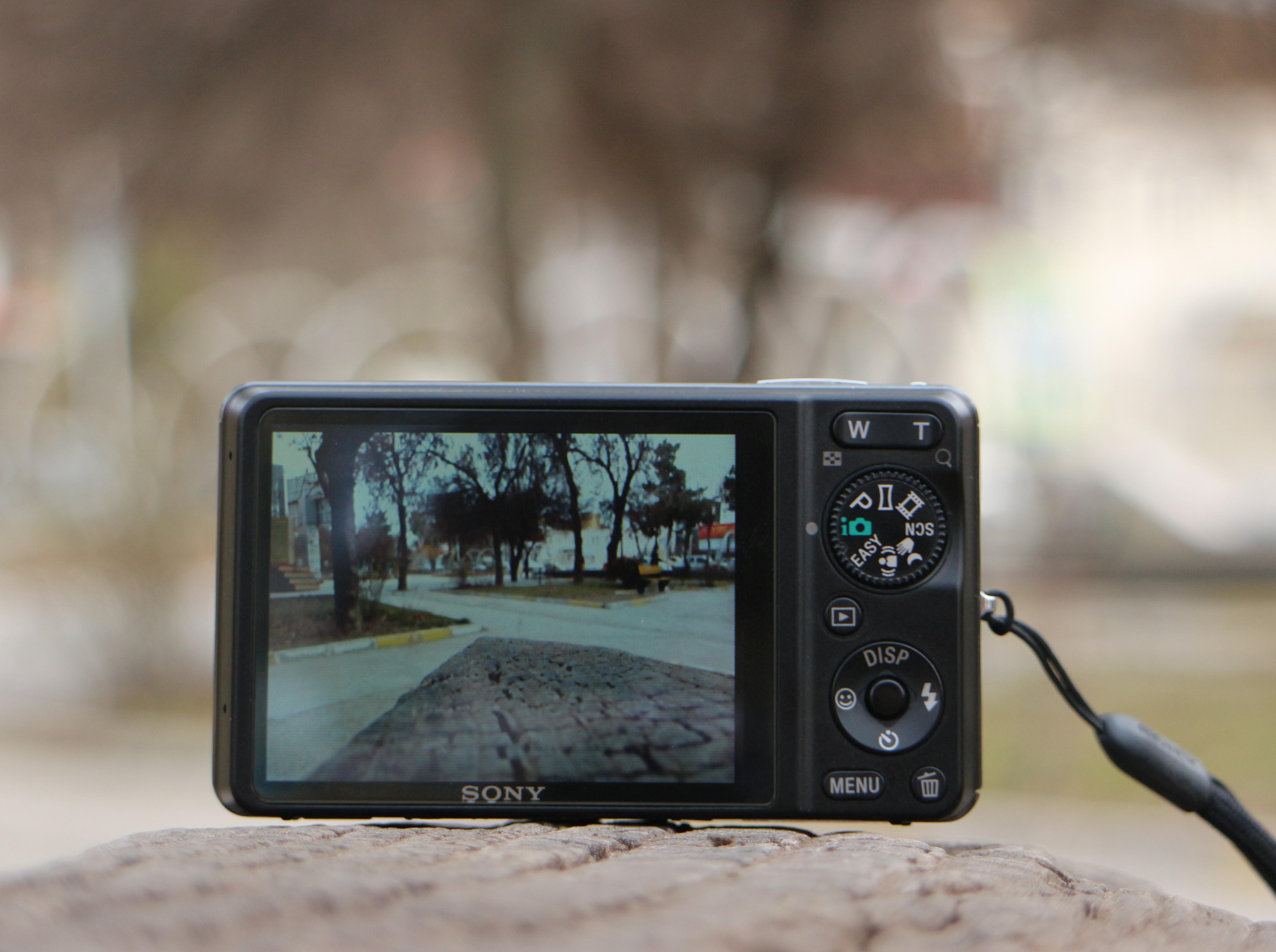  Wx1 سونی سایبرشات  - تصویر کوچک 3 از 3 از سیلور کم