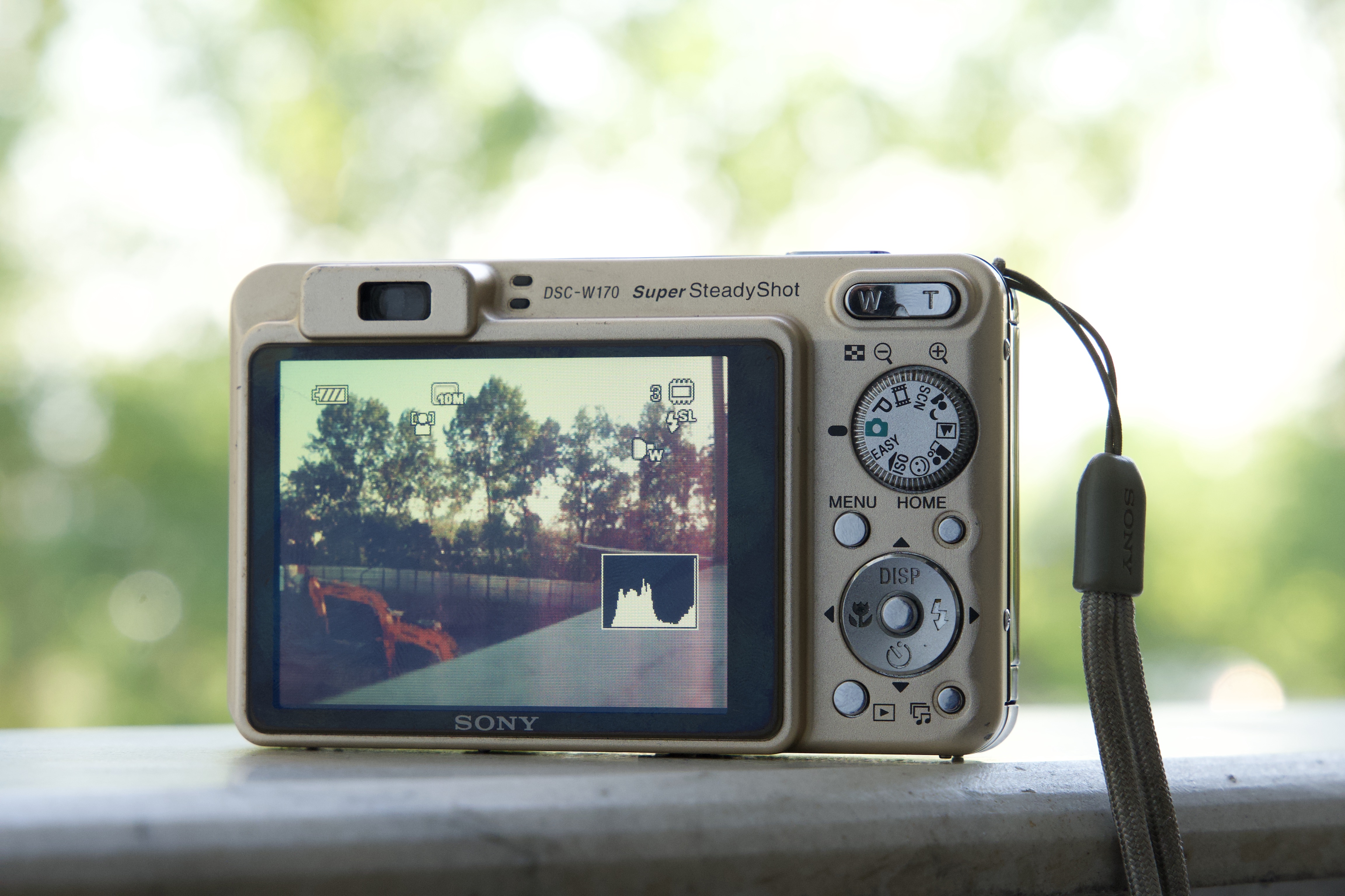 Sony Cyber-shot DSC-W170 - تصویر کوچک 3 از 4 از سیلور کم