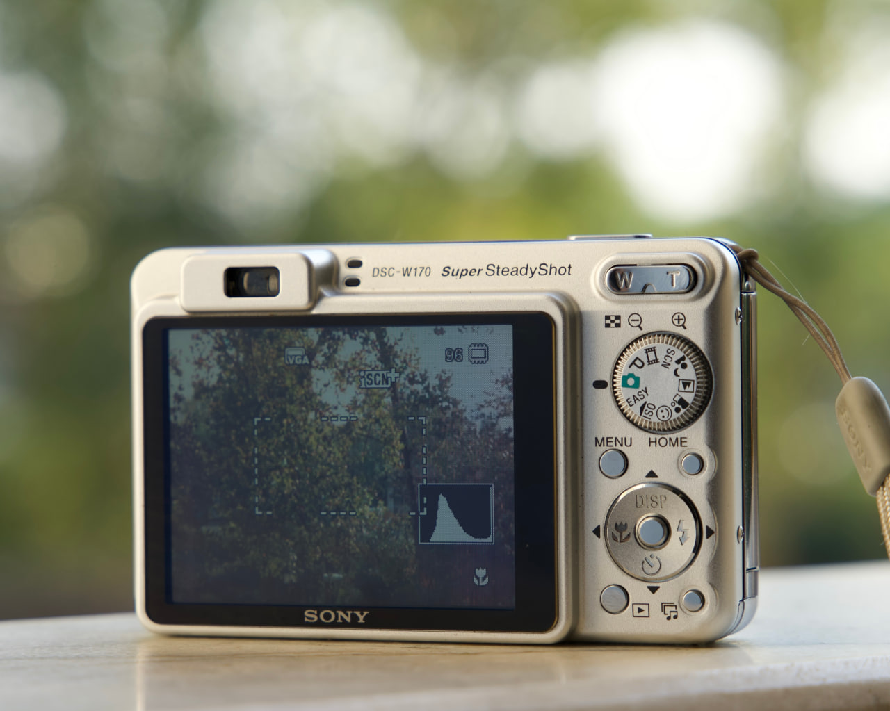 Sony Cyber-shot DSC-W170 - تصویر کوچک 3 از 4 از سیلور کم